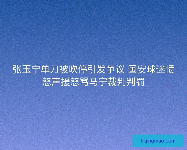 张玉宁单刀被吹停引发争议 国安球迷愤怒声援怒骂马宁裁判判罚